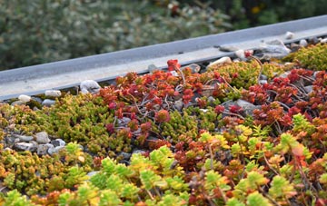 the cost of Tomperrow green roof installation
